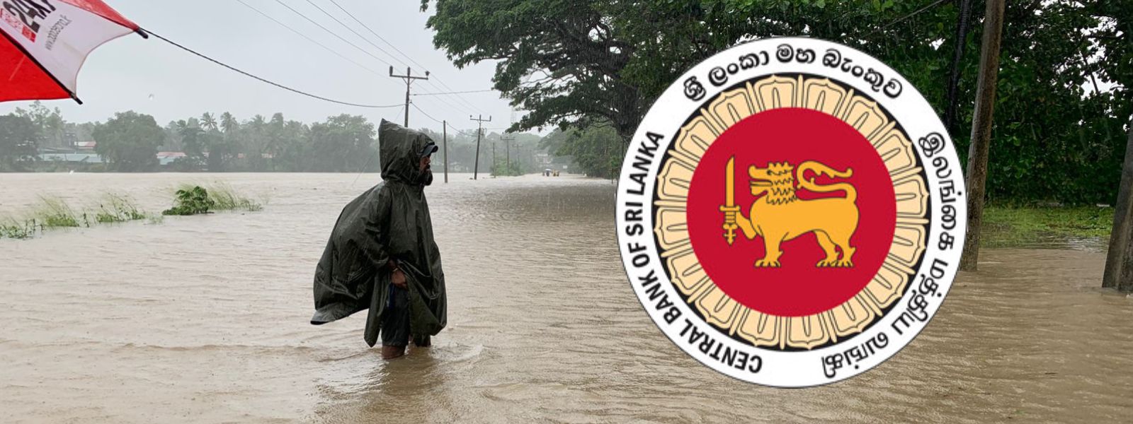 Here's How to Handle Wet Currency After Floods